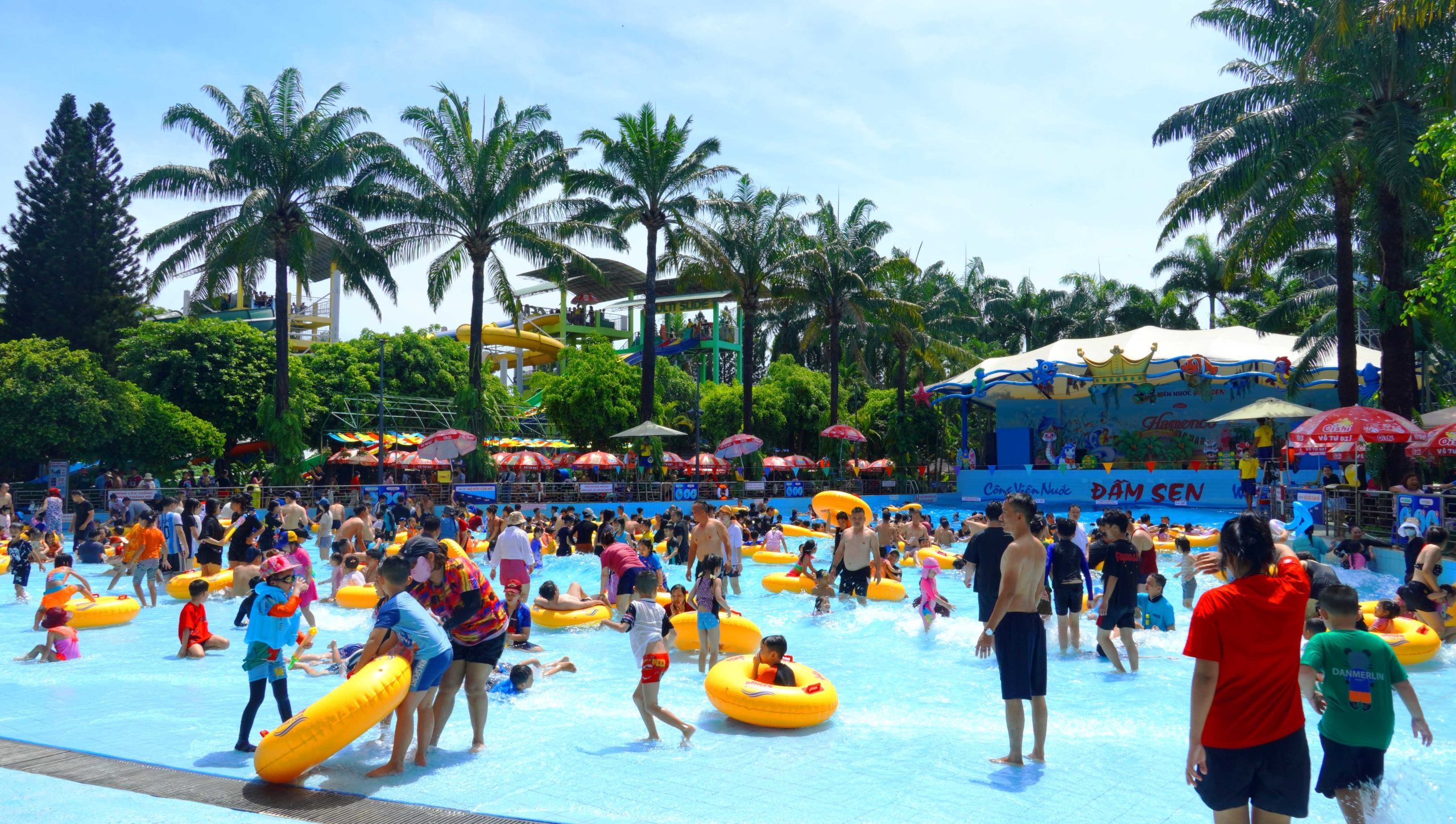 dam sen water park - cong vien nuoc dam sen, water park, slide, tet, vui dam sen nuoc, phuoc loc ve nha