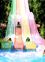 Trải nghiệm cầu trượt nước nhiều làn đầy màu sắc tại Công viên nước Đầm Sen – điểm vui chơi giải trí hấp dẫn với tốc độ cao, phù hợp cho gia đình và nhóm bạn trong mùa hè.
